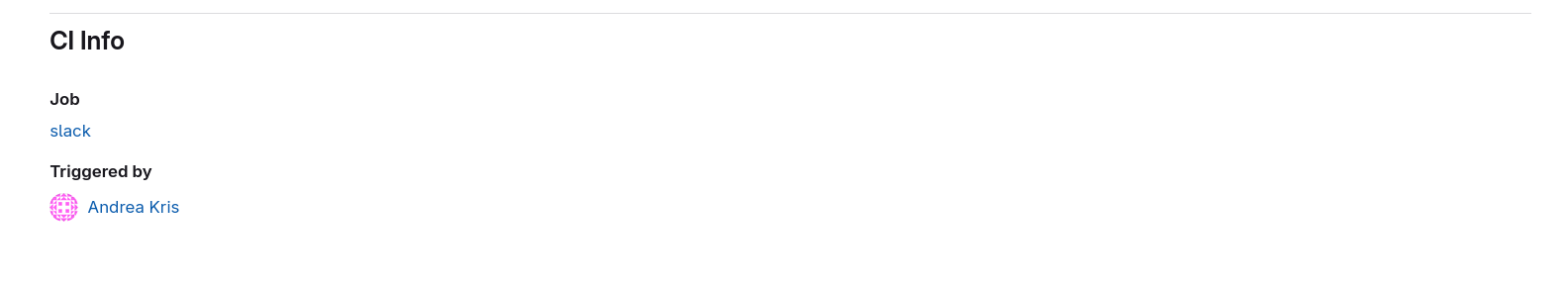 Run detail page displaying associated CI job, pipeline, and user information.